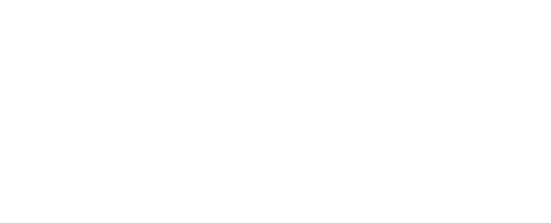SSVN